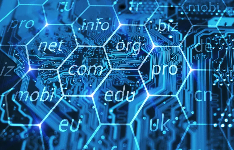 Domain Management